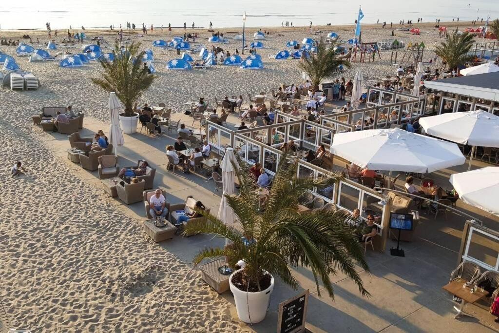 Beachtime Close To The Beach, City Centre 잔드보르트 외부 사진