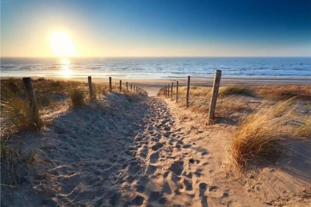 Beachtime Close To The Beach, City Centre 잔드보르트 외부 사진